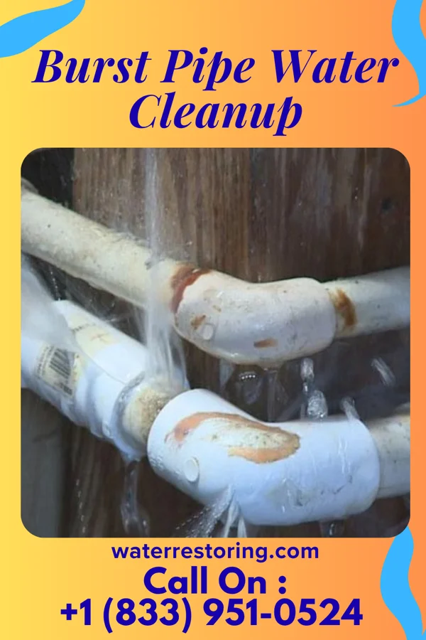 Burst Pipe Water Cleanup in Stone Harbor, NJ