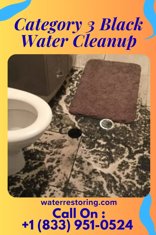 Category 3 Black Water Cleanup in Stone Harbor, NJ