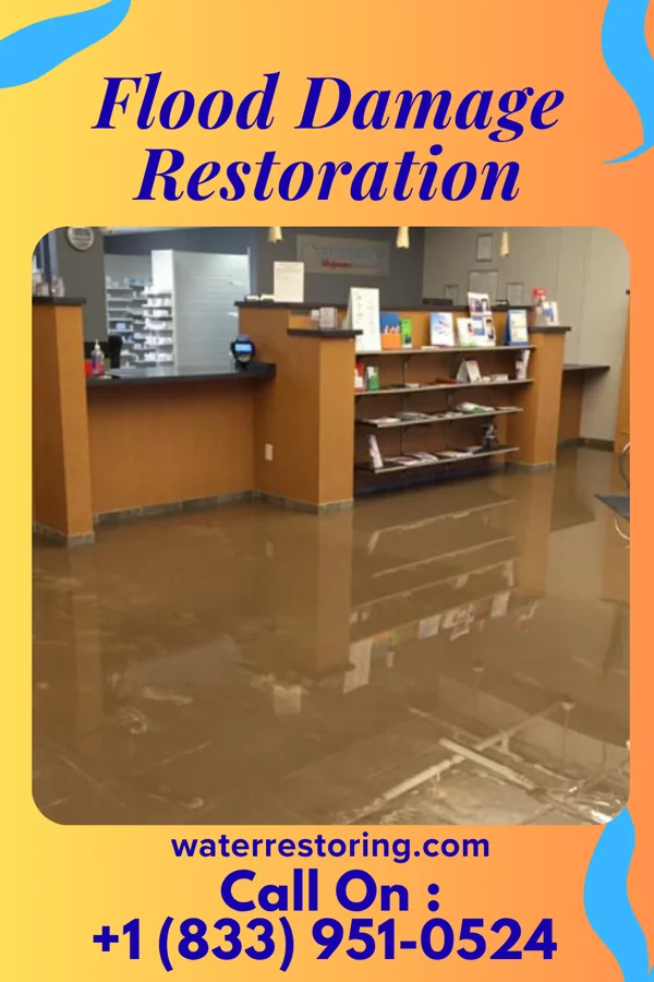 Flood Damage Restoration in Stone Harbor, NJ