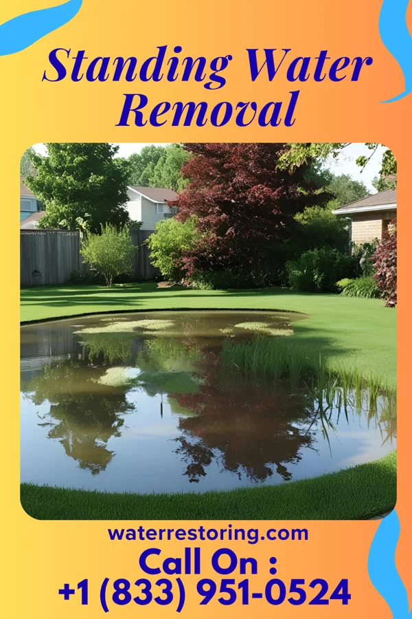 Standing Water Removal in Stone Harbor, NJ
